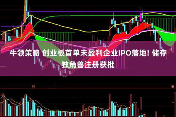 牛领策略 创业板首单未盈利企业IPO落地! 储存独角兽注册获批