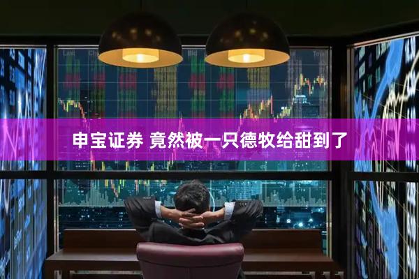 申宝证券 竟然被一只德牧给甜到了