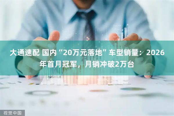 大通速配 国内“20万元落地”车型销量：2026年首月冠军，月销冲破2万台