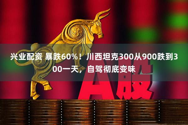 兴业配资 暴跌60%！川西坦克300从900跌到300一天，自驾彻底变味